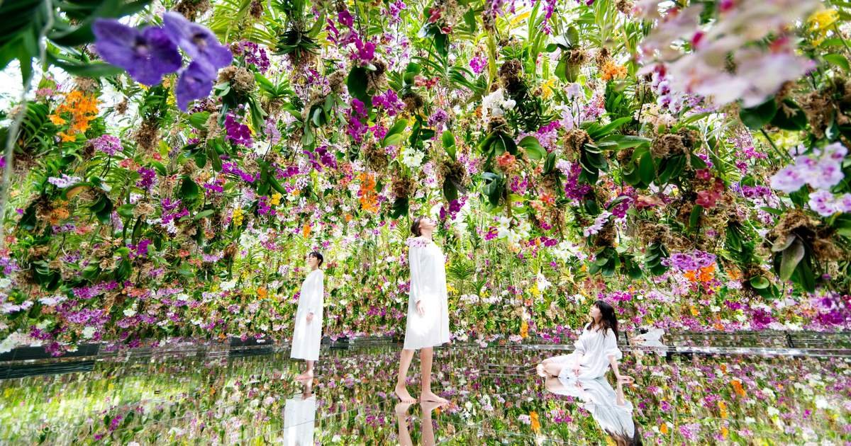 teamLab Planets TOKYO in Toyosu - floating flower garden installation