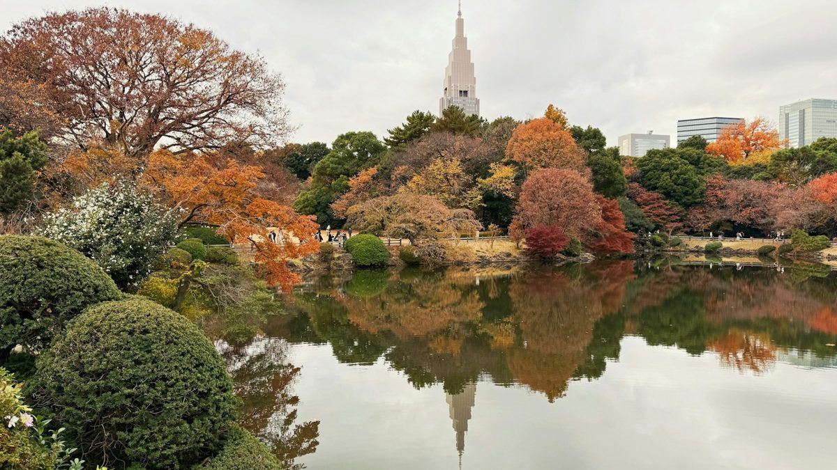 Autumn leaves reflected in a pond at Shinjuku Gyoen National Garden, Tokyo